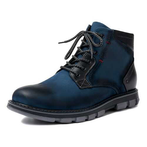 Ботинки мужские Alessio Nesca 261070Q0 синие 41 RU в Timberland