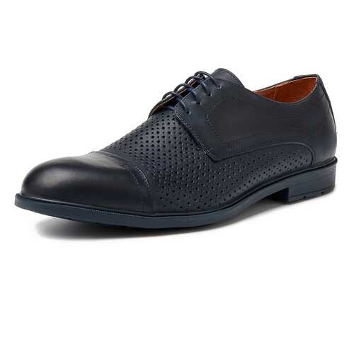 Туфли мужские Alessio Nesca M6118004 синие 39 RU в Timberland