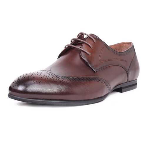 Туфли мужские Pierre Cardin 710017789 коричневые 44 RU в Timberland