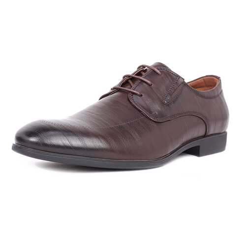 Туфли мужские T.Taccardi 03406360 коричневые 44 RU в Timberland