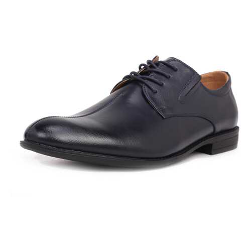 Туфли мужские T.Taccardi 710017996 синие 45 RU в Timberland